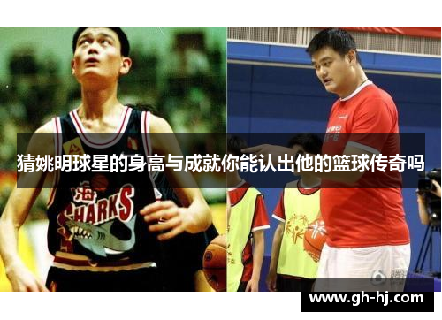 猜姚明球星的身高与成就你能认出他的篮球传奇吗
