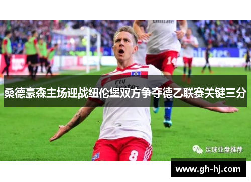 桑德豪森主场迎战纽伦堡双方争夺德乙联赛关键三分